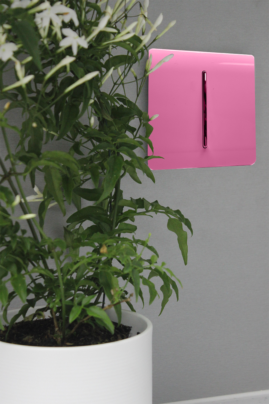 Pink Wiring Accessories Trendi Decorative Screwless Pink Wiring Accessories Trendi Decorative Screwless